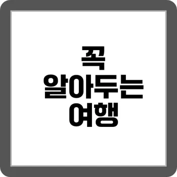 무계획 여행자용 짐싸기 10분 전략 노하우