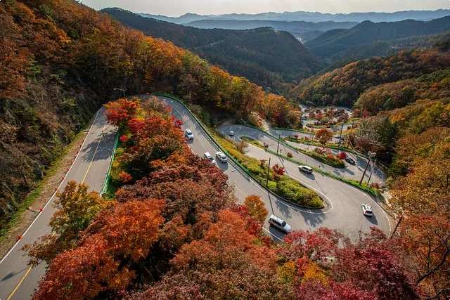 한국 자전거도로 최신 현황과 안전 가이드