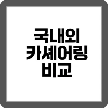 한눈에 비교 국내 렌트카 vs 카셰어링 장단점