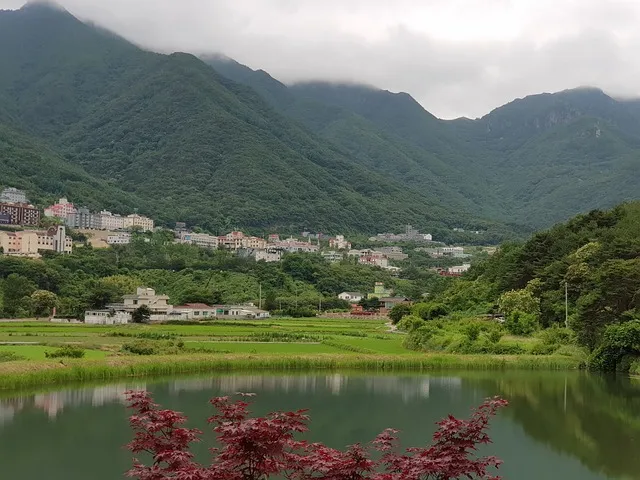 2025년 보성 맛집 베스트10과 숨겨진 맛의 비밀 발견
