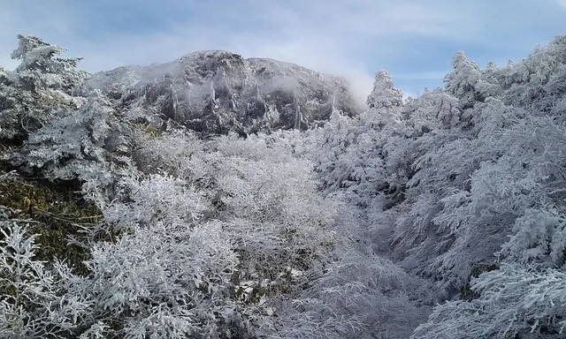 내 계절 맞춤 국내 여행지 추천 15선