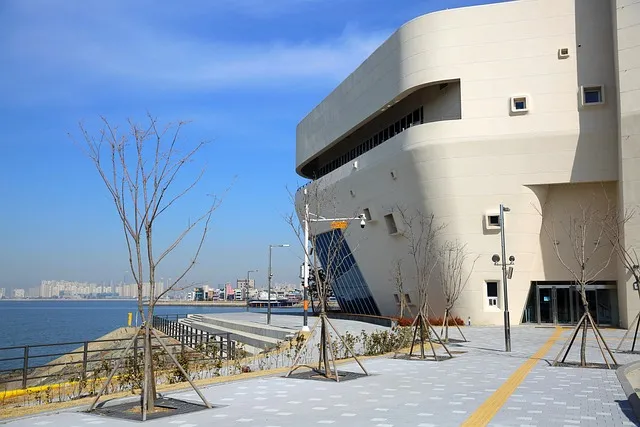 반려견과 함께 떠나는 국내여행 최고의 장소 6선